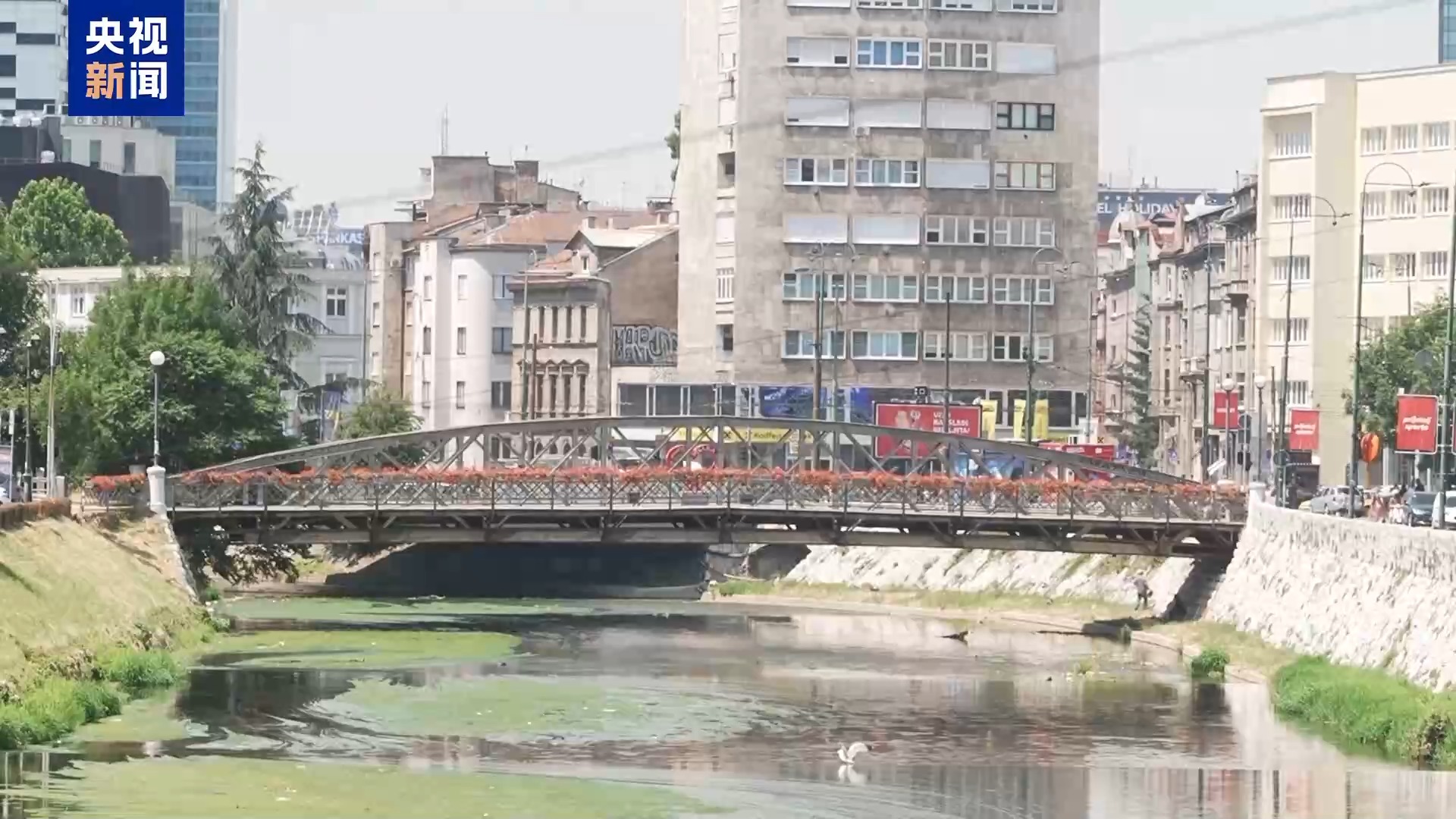 熱浪來襲 歐洲多地遭遇極端高溫天氣