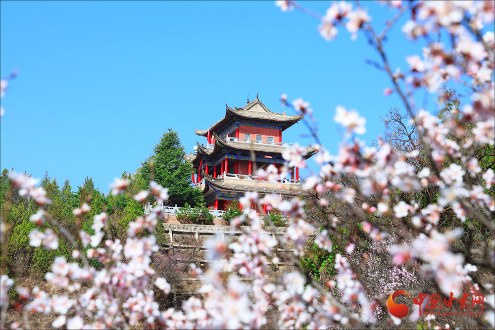 平涼：春風裁錦 桃灼崇信_fororder_00301979618_6d85fb12