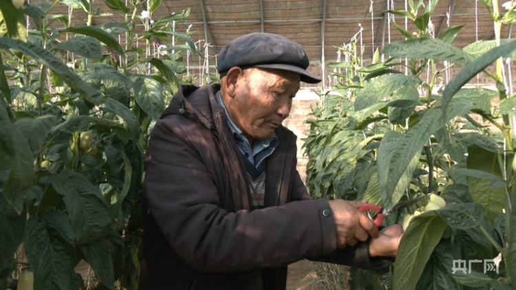 【習聲迴響】讓老百姓幸福就是黨的事業