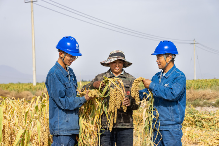 State Grid Zhangye Power Supply Company: Ensuring Reliable Power Supply for Autumn Harvest with Direct Field Services_fororder_IMG_5338