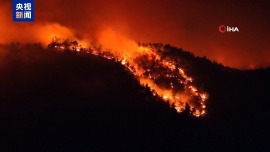 土耳其多地山火蔓延 數千名居民被迫疏散
