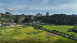 名家赴湖南新寧尋秋韻 手執妙筆繪丹霞