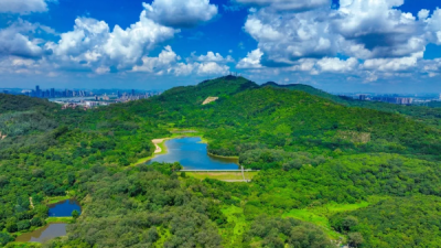 Nansha Wild Hiking Route: A Healing Journey from City to Nature