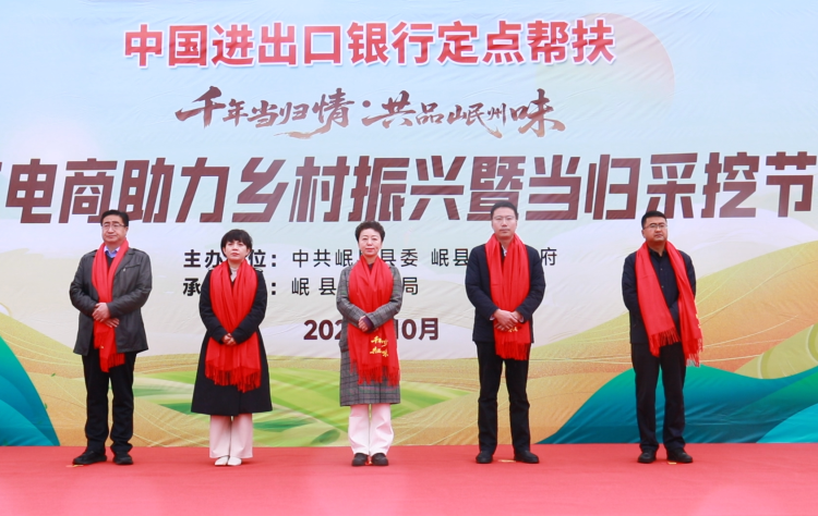 定西岷縣電商賦能鄉村振興 當歸採挖節書寫助農增收新篇章