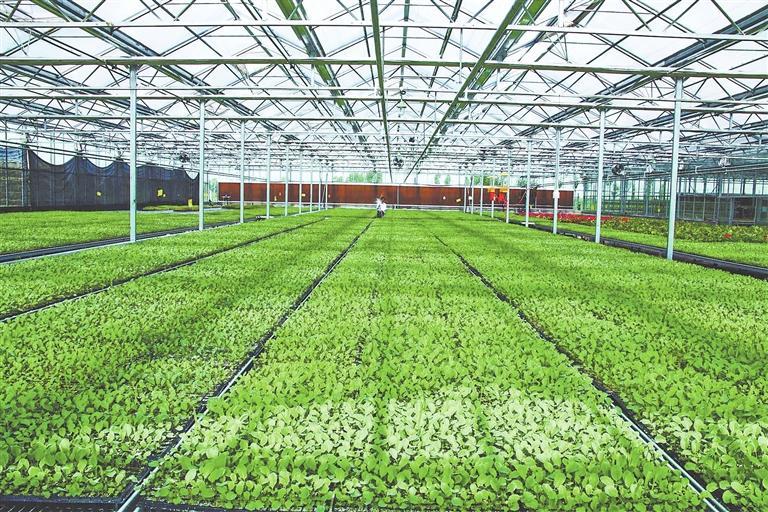 讓綠色成為農業發展底色——甘肅省將農業生産與生態環保同部署同推進