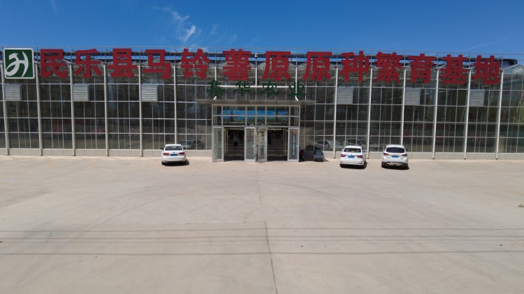 張掖民樂：科技賦能“小土豆” 種出鄉村振興“大未來”_fororder_11