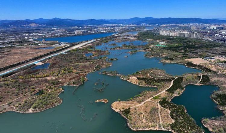 近觀“兩山”丨寫好綠色答卷，總書記強調三個“更加注重”