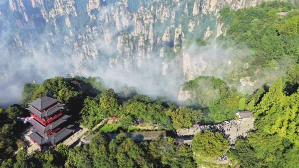 圖片默認標題_fororder_res03_attpic_brief