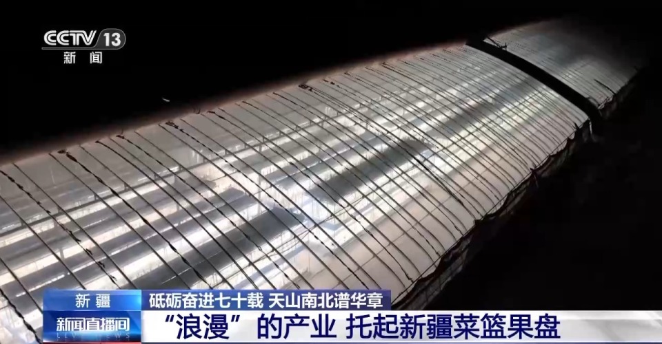 砥礪奮進七十載 天山南北譜華章丨沙漠上的“浪漫”産業 托起新疆菜籃果盤
