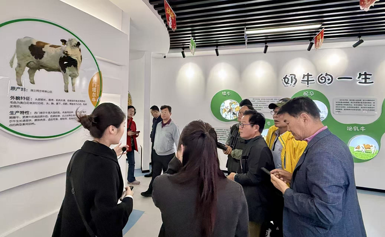 한국 사진작가 방문단, 산둥 룽커우서 취재 및 교류 전개_fororder_圖片2