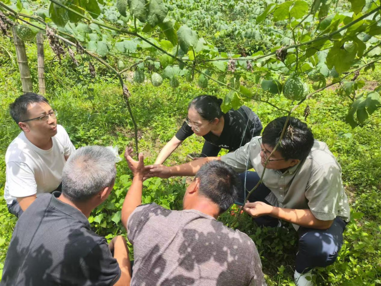 湖南城步 “引育留用”齊發力 激活苗鄉人才新動能_fororder_1