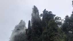 家在莽山腳下 共護一山春色（稿件還在送審）