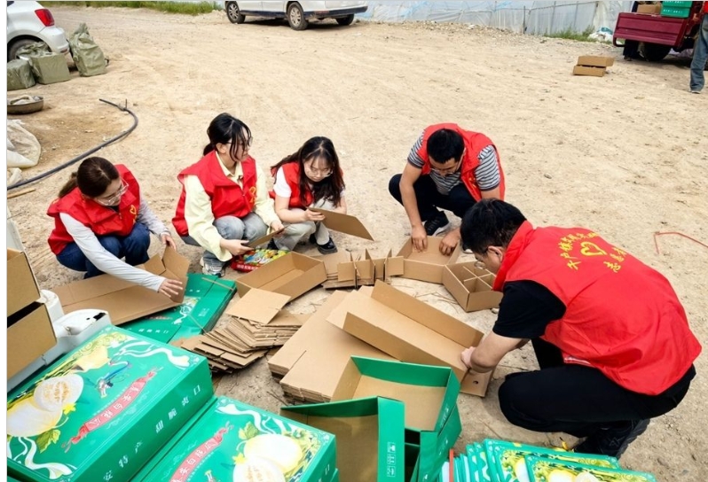 秦安千戶鎮：志願紅“採”摘甜蜜 助農共繪豐收畫卷_fororder_螢幕截圖_4-6-2025_103643_www.qinan.gov.cn