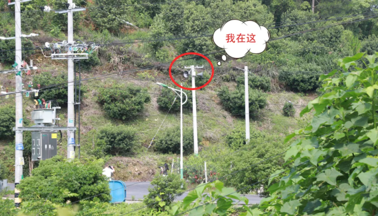 湖南北塔“聲”入民心 利用全媒體矩陣推廣農特産品_fororder_2