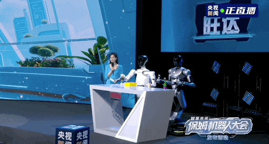 關於保姆機器人，你想知道的都在這裡了