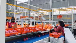 天水秦安魏店鎮：強村公司激活産業新動能