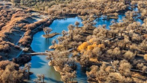 美麗中國丨額濟納：晚秋胡楊美