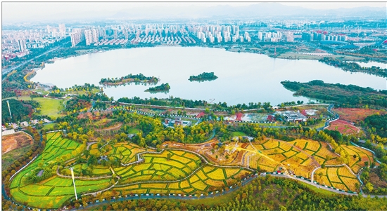 金華開發區修復湖海塘生態提升城市品質_fororder_zjrb2025082800004v01b011