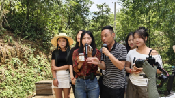 圖片默認標題