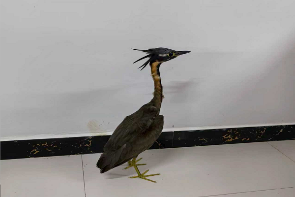 圖片默認標題_fororder_20251004_152221