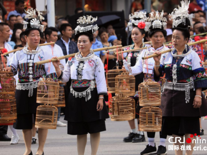 Guizhou’s Danzhai Hosts Grand Intangible Cultural Heritage Parade of Ten Thousand