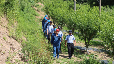 State Grid Longnan Power Supply Company: "Forest and Electricity Common Security" Protects the Safety of Green Water and Green Mountains and Power Grid_fororder_圖片1