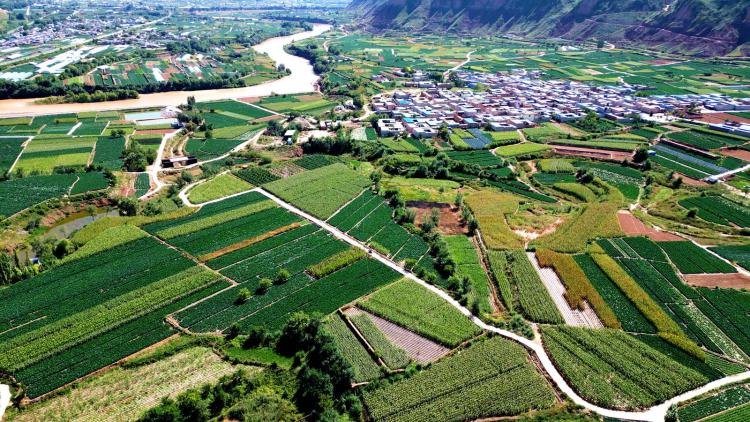 臨夏永靖:昔日“黃河灘”今朝“菜籃子” 湟水河畔的綠色“脈動”_fororder_1