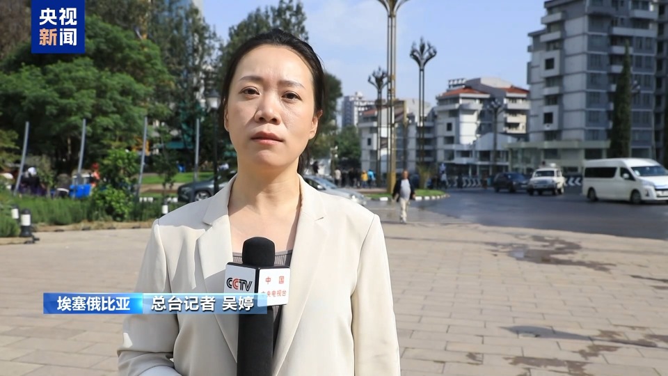 總臺記者專訪丨聯合國專員：人道主義與發展援助對幫助難民缺一不可
