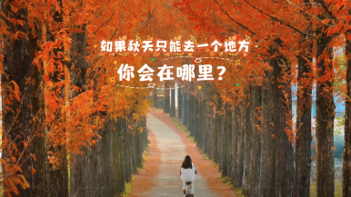 黃山市徽州區：滿城秋色 邂逅畫中徽州_fororder_微信圖片_2025-10-20_171451_290