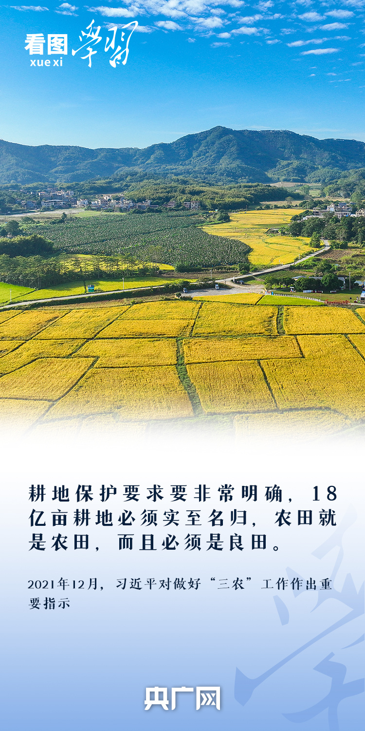 看圖學習丨“守住耕地這個命根子” 總書記心繫耕地保護