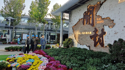 Kaifeng, Henan: Reliable Power Safeguards the 43rd Kaifeng Chrysanthemum Cultural Festival