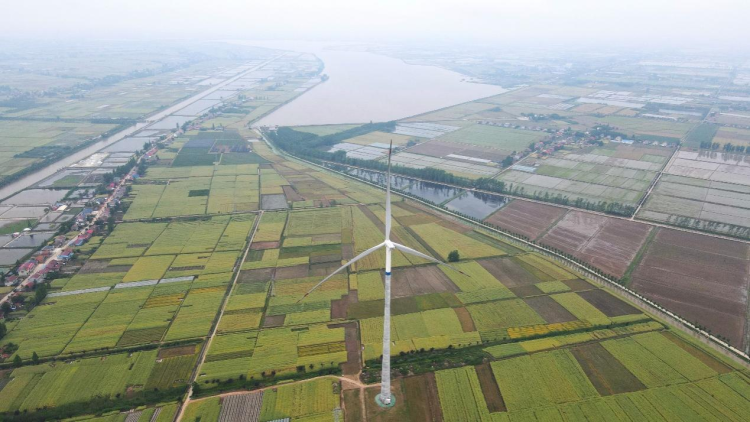 風車舞洞庭 “綠”自風中來——湖南首個規模化平原混塔風電項目投産_fororder_1