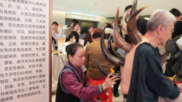 國潮夜市再啟航 中醫藥暖心服務入萬家