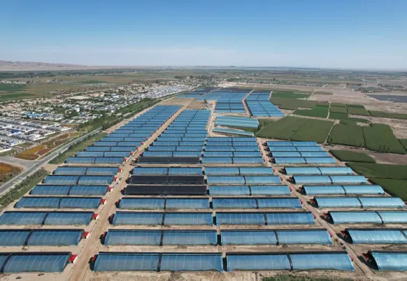 武威民勤：黨建領航強根基 鄉村振興譜新篇_fororder_3