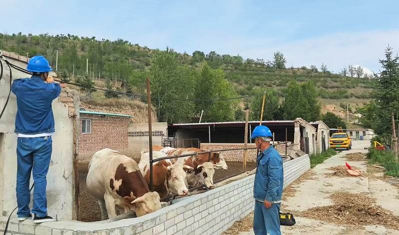 Electricity Fuels the Dreams of Diverse Agriculture_fororder_圖片4