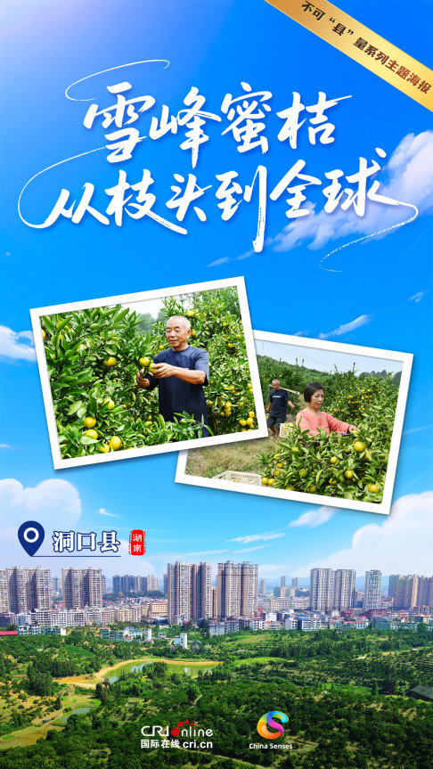 Oh My County ! 不可“縣”量 | 雪峰蜜桔 從枝頭到全球_fororder_雪峰蜜桔-1080x1920-中(1)