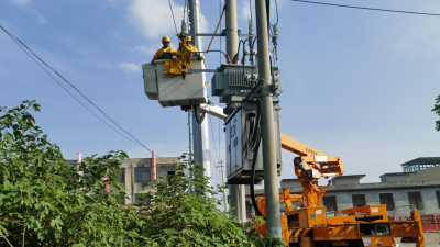 Nanyang, Henan: Reliable Power Empowers Mugwort Industry Development