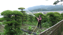 湖南洞口縣盤活“方寸閒地” 扮靚“美麗庭院”