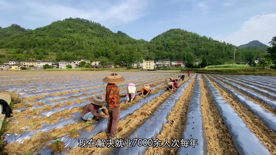 新華視點｜生態治理繪就綠色發展畫卷