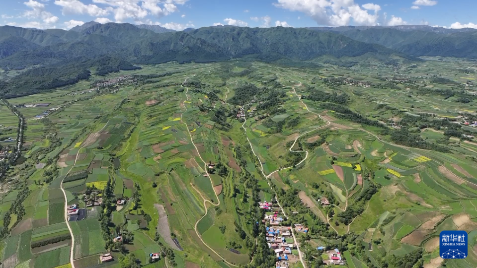 定西渭源：中藥材種植基地藥香四溢_fororder_2