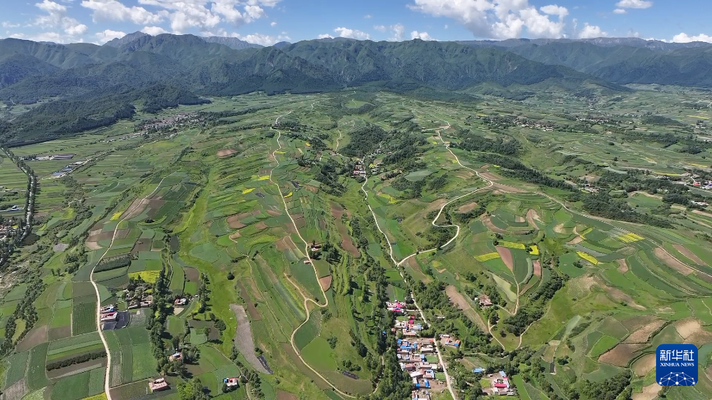 定西渭源：中藥材種植基地藥香四溢_fororder_2