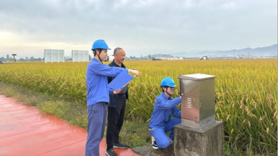 Ningbo, Zhejiang: Power Services Safeguard a Bountiful Harvest_fororder_圖片18