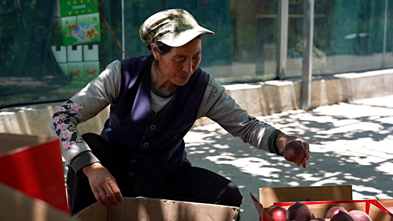 甜蜜豐收時！永靖峴垣鎮蜜桃搶“鮮”上市
