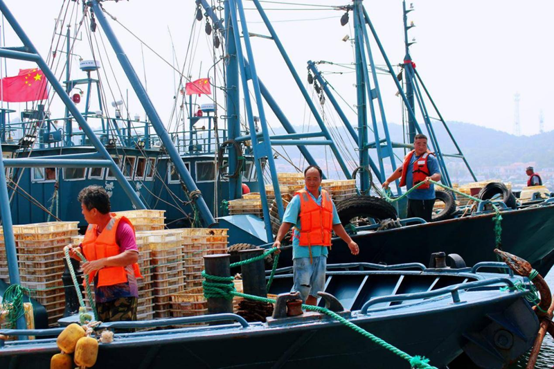 백여 척 어선, 옌타이 창다오서 '첫 그물' 쳤다_fororder_圖片6