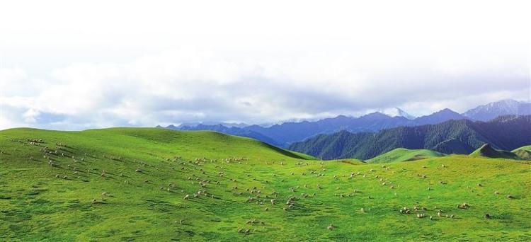 綠染隴原築屏障 生態文明譜新篇 ——甘肅以“兩山”理念引領西部生態安全屏障建設紀實