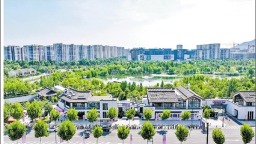 上城區丁蘭街道：文化賦能民生服務，構建基層治理新格局