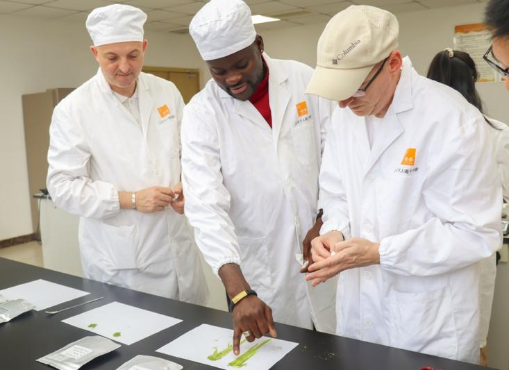 Guizhou Matcha Goes Global: Transnational Culinary Dialogue Explores Industry's Future_fororder_圖片10