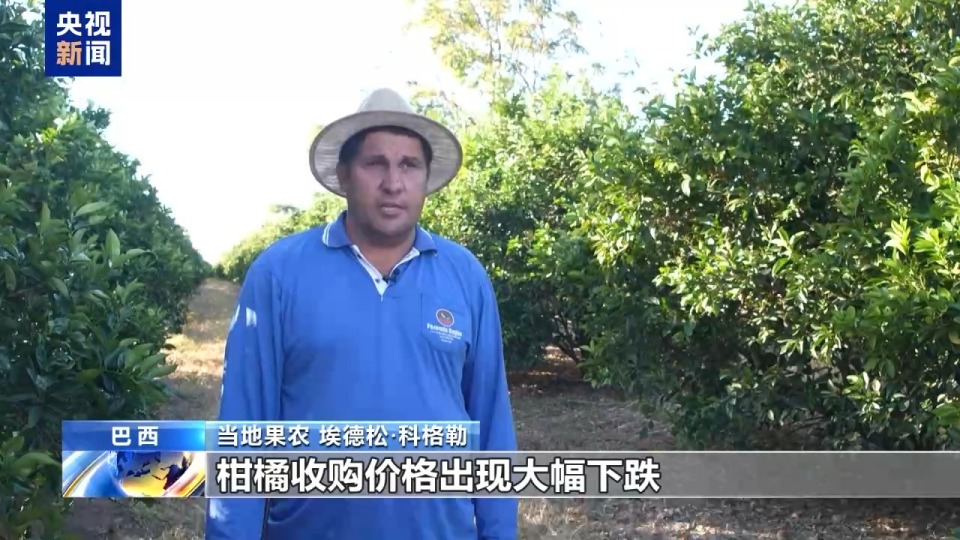 恐無奈讓水果爛在樹上 巴西果農憂心美加徵關稅衝擊