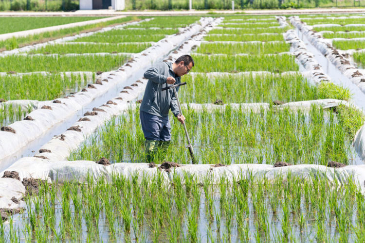 走好中國式現代化關鍵一程——從全國兩會看“十五五”規劃新圖景