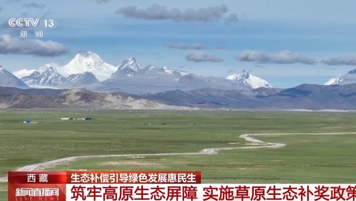 視頻丨生態補償效果如何？去西藏四川看一看